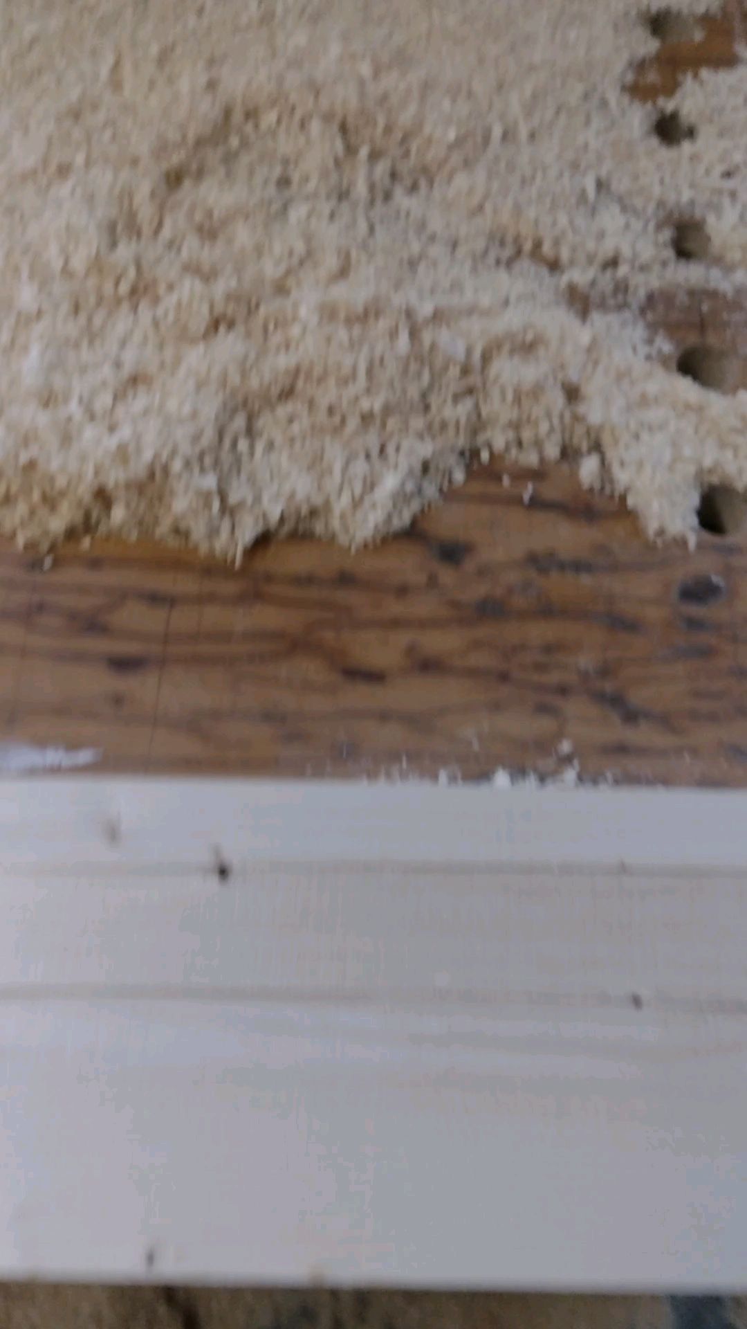 Mein persönliches #Werkstatt #asmr
Und danach ist die Tonne wieder voll 😀
#holzwerkstatt #feelsgood #späne #hobeln #staubsauger #aufräumen #holzbearbeitung